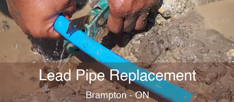  Lead Pipe Replacement Brampton - ON