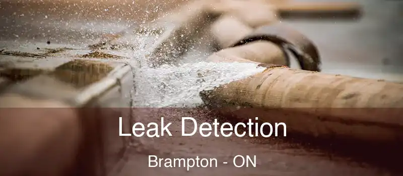  Leak Detection Brampton - ON