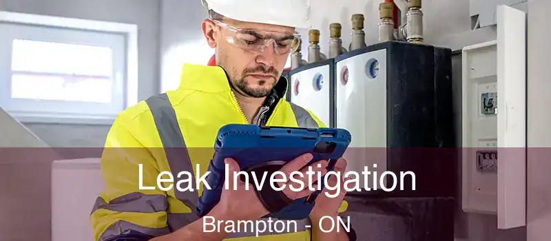  Leak Investigation Brampton - ON