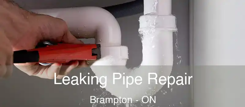  Leaking Pipe Repair Brampton - ON