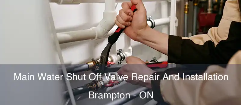  Main Water Shut Off Valve Repair And Installation Brampton - ON
