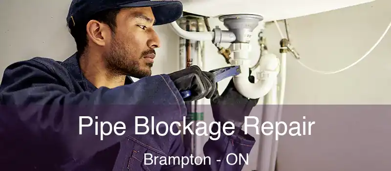  Pipe Blockage Repair Brampton - ON