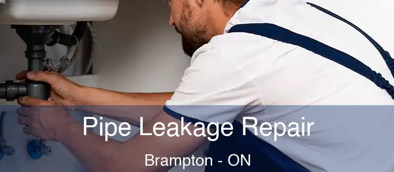  Pipe Leakage Repair Brampton - ON