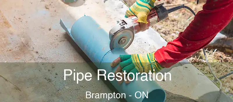  Pipe Restoration Brampton - ON