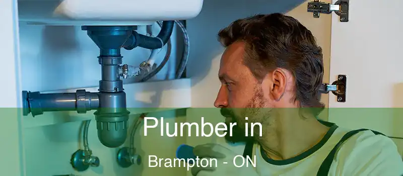  Plumber in Brampton - ON