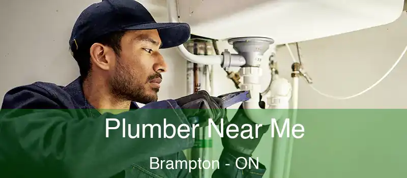  Plumber Near Me Brampton - ON