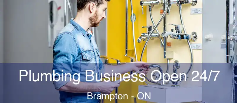  Plumbing Business Open 24/7 Brampton - ON
