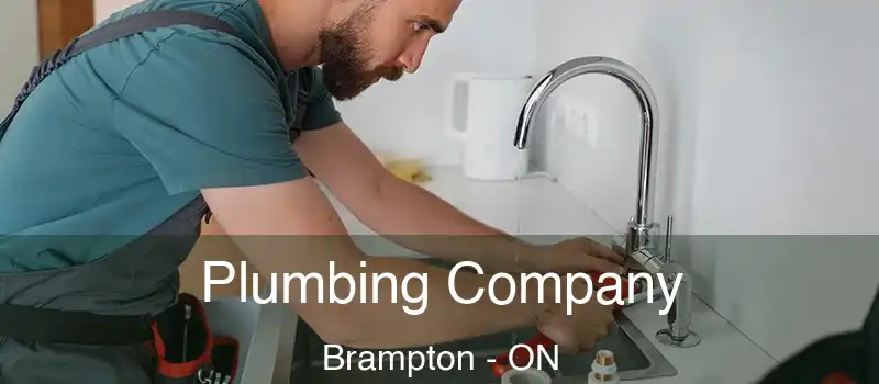  Plumbing Company Brampton - ON