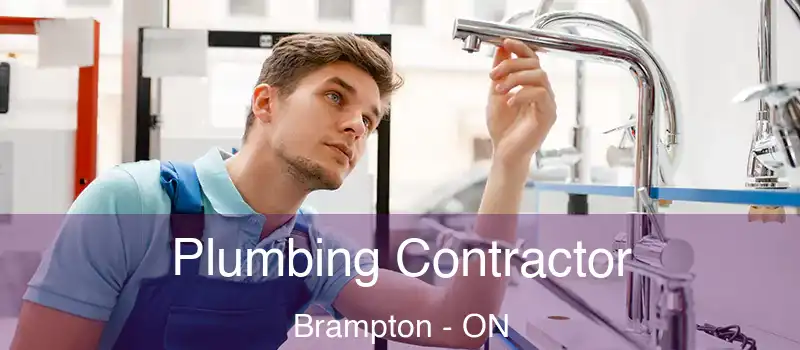  Plumbing Contractor Brampton - ON