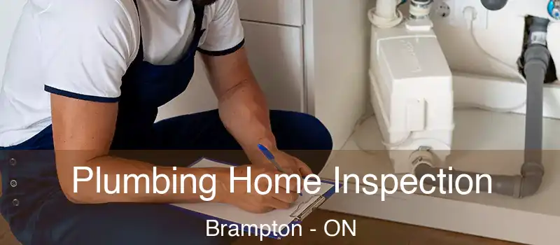  Plumbing Home Inspection Brampton - ON