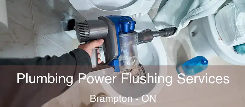  Plumbing Power Flushing Services Brampton - ON