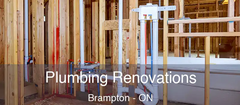  Plumbing Renovations Brampton - ON