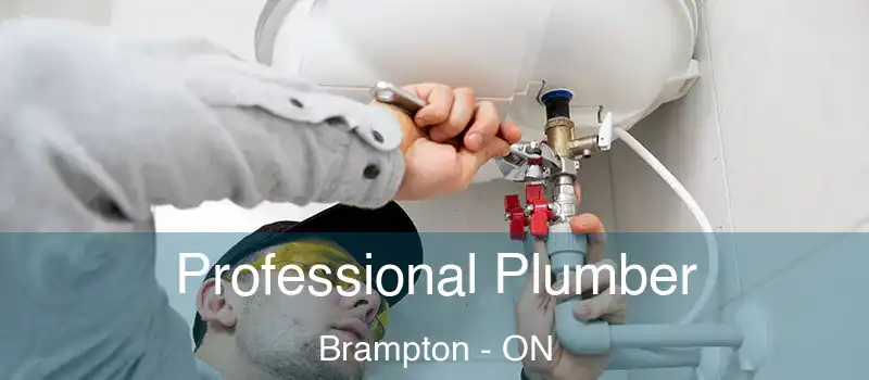  Professional Plumber Brampton - ON