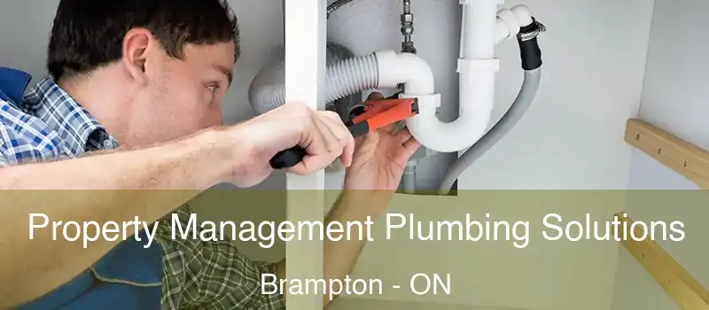  Property Management Plumbing Solutions Brampton - ON
