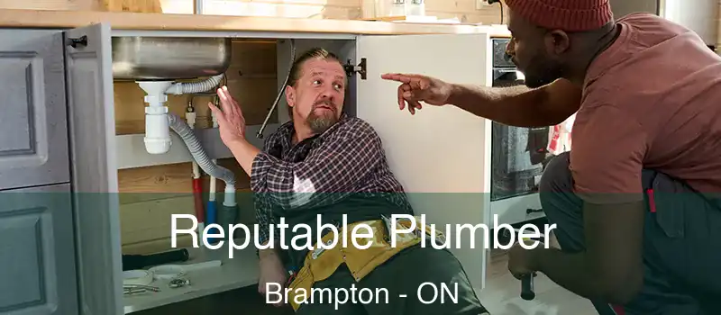  Reputable Plumber Brampton - ON