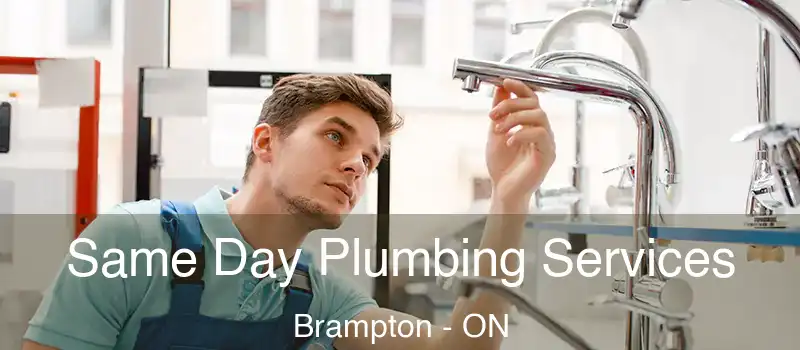 Same Day Plumbing Services Brampton - ON