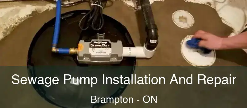  Sewage Pump Installation And Repair Brampton - ON