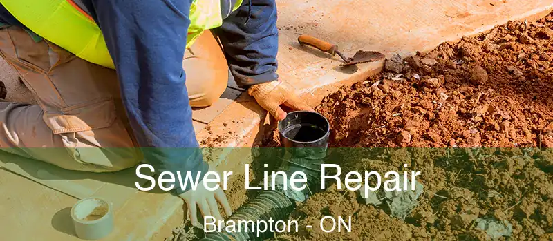  Sewer Line Repair Brampton - ON