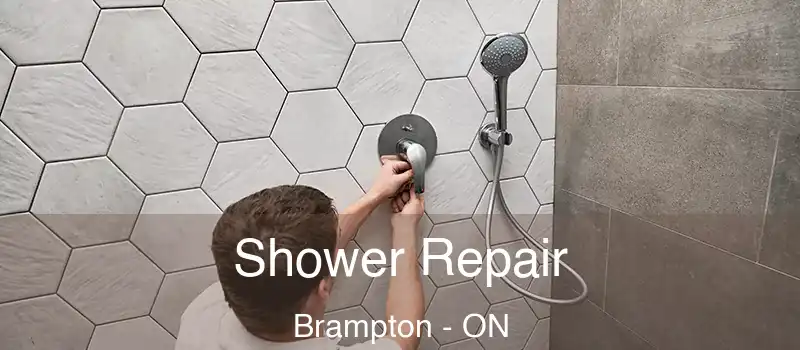  Shower Repair Brampton - ON