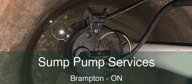  Sump Pump Services Brampton - ON