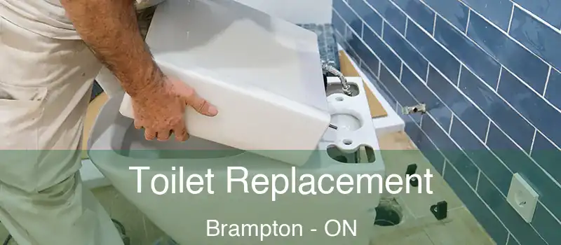  Toilet Replacement Brampton - ON