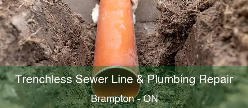  Trenchless Sewer Line & Plumbing Repair Brampton - ON