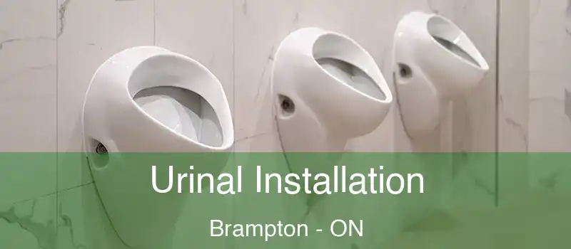  Urinal Installation Brampton - ON