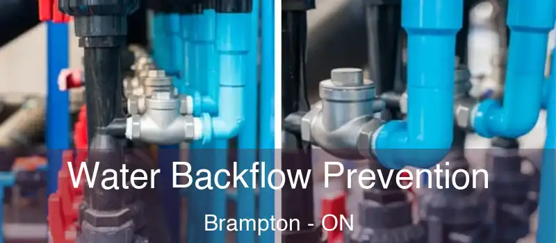  Water Backflow Prevention Brampton - ON