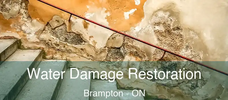  Water Damage Restoration Brampton - ON