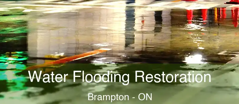  Water Flooding Restoration Brampton - ON