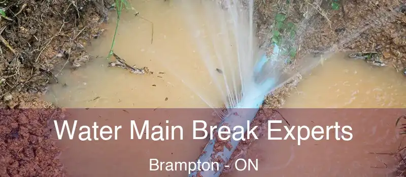  Water Main Break Experts Brampton - ON