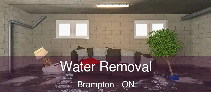  Water Removal Brampton - ON