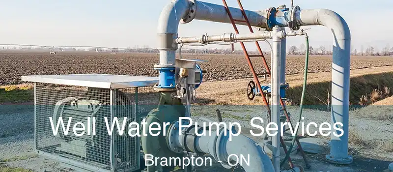  Well Water Pump Services Brampton - ON